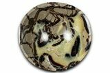 Eye-Eatching, Polished Septarian Bowl - Madagascar #350238-1